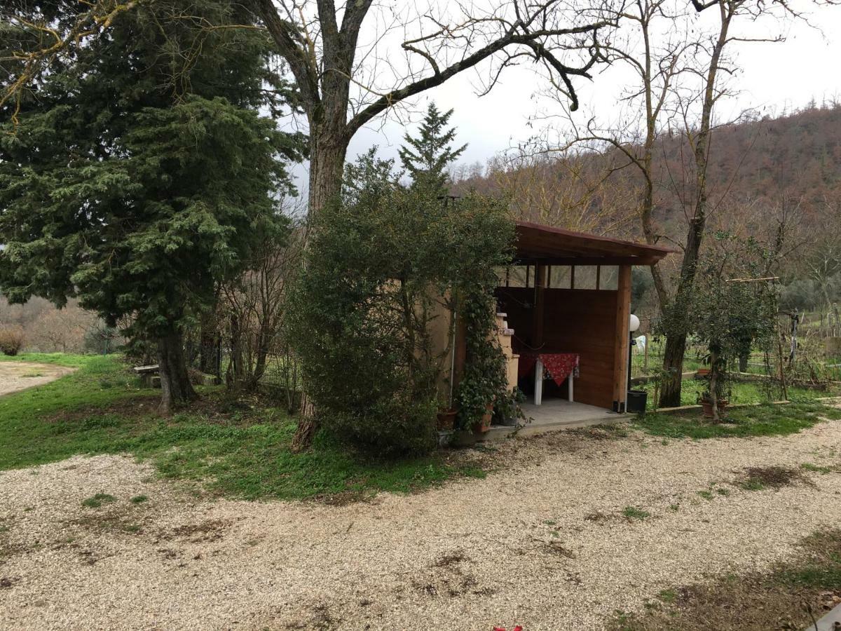 Agriturismo Vista Sole Villa Mercatale  Buitenkant foto