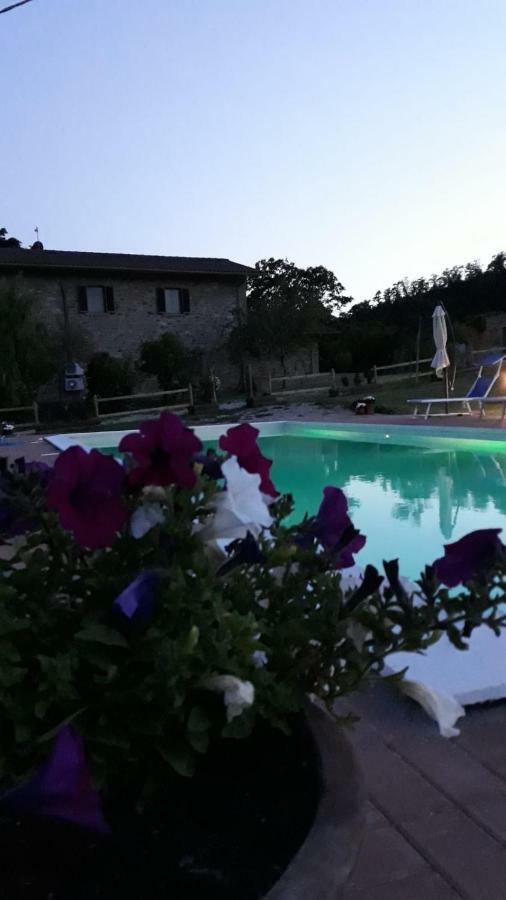 Agriturismo Vista Sole Villa Mercatale  Buitenkant foto