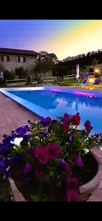 Agriturismo Vista Sole Villa Mercatale  Buitenkant foto